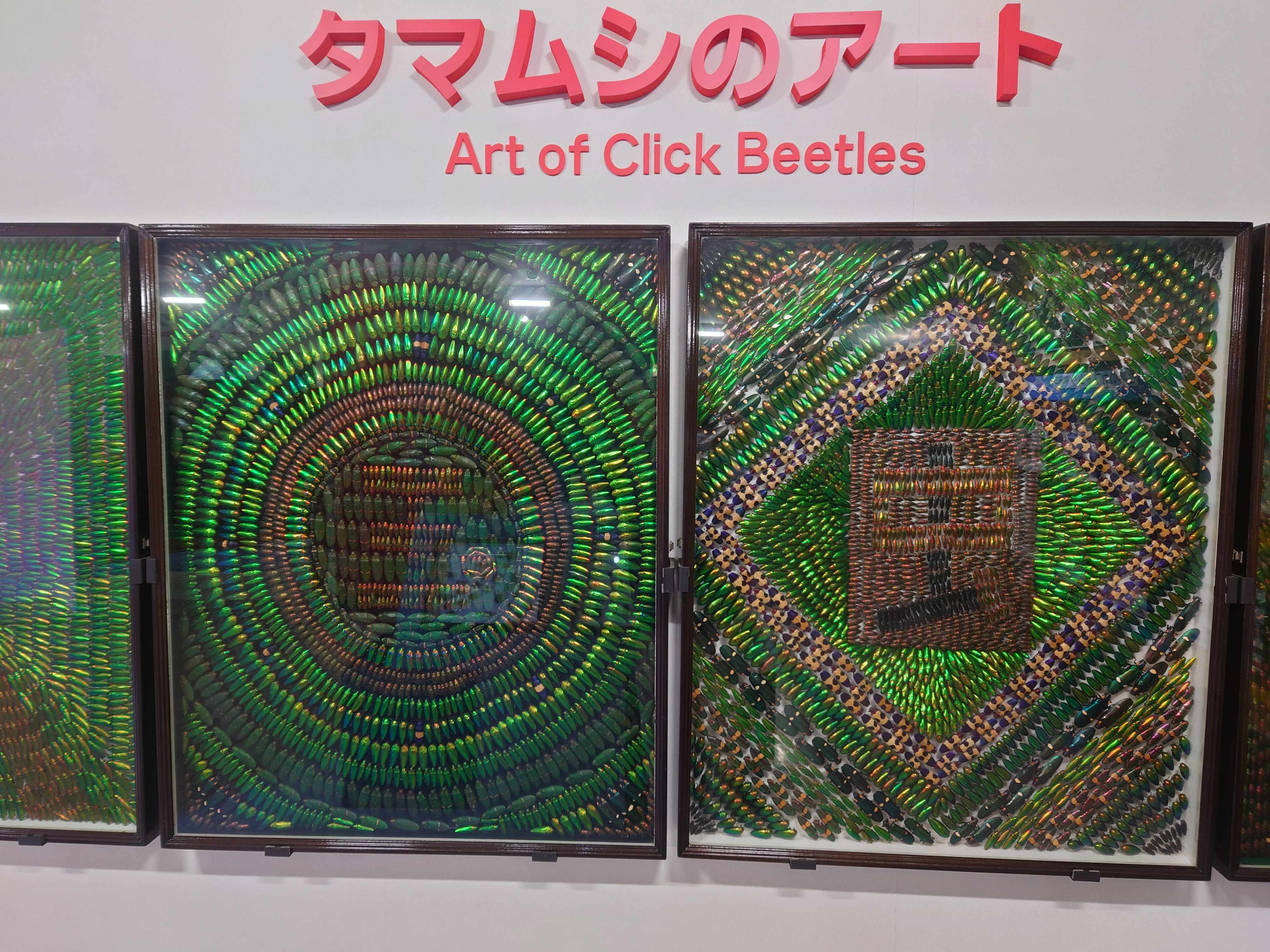 🌳 히미시 해빈식물원 시사이드 파크 (히미시 카이힌 쇼쿠부츠엔 시-사이도 파-쿠) 이미지 6